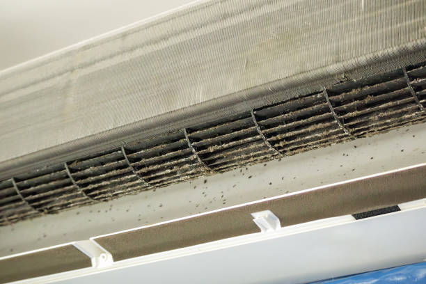 Best Professional Duct Cleaning Services  in Clymer, PA
